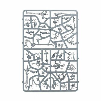 Warhammer: Age of Sigmar - Echoes of Doom