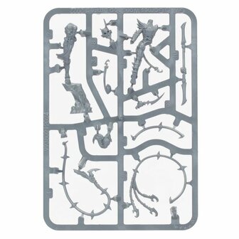 Warhammer: Age of Sigmar - Daughters of Khaine: High Gladiatrix