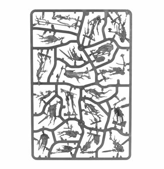 Warhammer: Age of Sigmar - Vanguard: Nighthaunt