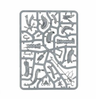 Warhammer: Age of Sigmar - Vanguard: Daughters of Khaine