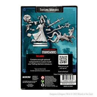 D&amp;D Frameworks: Tiefling Warlock Male