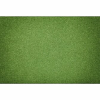 Green Carpet Playmat (60x40cm)