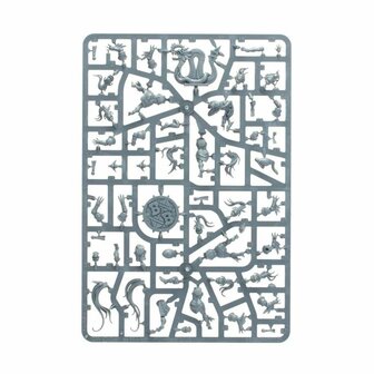 Blood Bowl: Kara Temple Harpies (Amazon Blood Bowl Team)