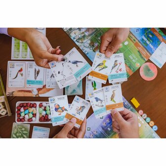 Wingspan: Asia Expansion [ENG]