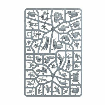 Warhammer: Age of Sigmar - Slaves to Darkness: Army Set