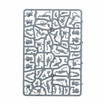 Warhammer 40,000 - Kill Team (Shadowvaults)