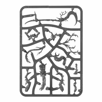 Warhammer: Age of Sigmar - Vanguard: Sylvaneth