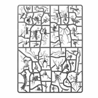 Warhammer: Age of Sigmar - Vanguard: Sylvaneth