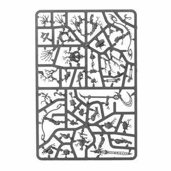 Warhammer: Age of Sigmar - Vanguard: Sylvaneth