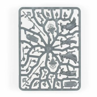 Warhammer 40,000 - Adepta Sororitas: Celestian Sacresants