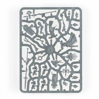 Warhammer 40,000 - Adepta Sororitas: Celestian Sacresants