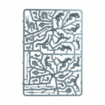 Warhammer: Age of Sigmar - Seraphon: Saurus Warriors