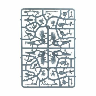 Warhammer: Age of Sigmar - Seraphon: Raptadon Hunters