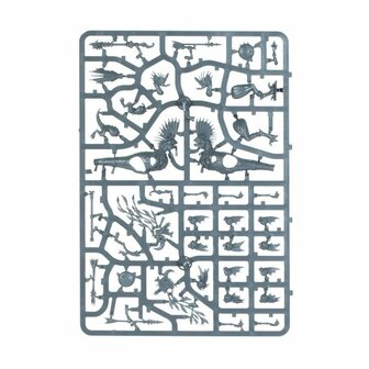 Warhammer: Age of Sigmar - Seraphon: Raptadon Hunters