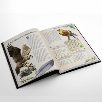 Warhammer Fantasy RPG: The Imperial Zoo