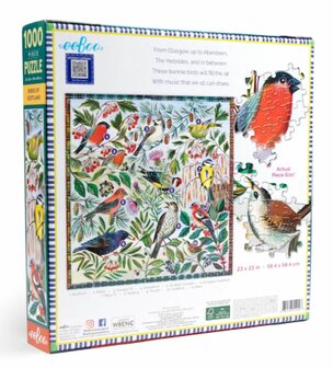 Birds of Scotland - Puzzel (1000)