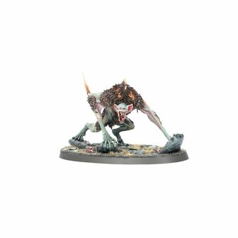 Warhammer: Age of Sigmar - Flesh-eater Courts: Army Set