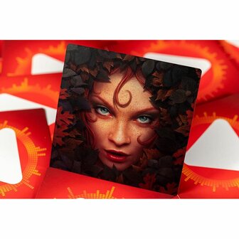 Disc Cover