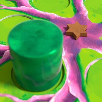 Vallende Sterren (4+)