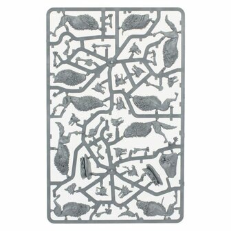 Warhammer: Age of Sigmar - Soulblight Gravelords: Fangs of the Blood Queen (Dawnbringers)