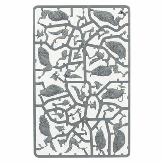 Warhammer: Age of Sigmar - Soulblight Gravelords: Fangs of the Blood Queen (Dawnbringers)