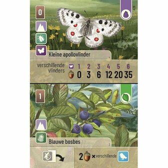 Forest Shuffle - Alpine