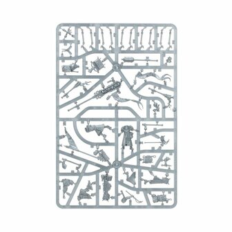 Warhammer: Age of Sigmar - Cities of Sigmar &ndash; Freeguild Fusiliers​ - Games Workshop