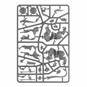 Warhammer: Age of Sigmar - Stormcast Eternals: Dracothian Guard​ - Games Workshop