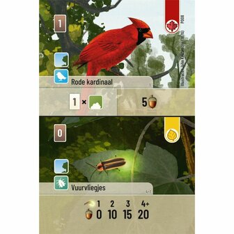 Forest Shuffle: Exploration &ndash; Veelzijdige Uitbreiding | Lookout Games