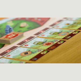 Theetuin &ndash; Strategisch deckbuilding &amp; worker placement bordspel van 999 Games