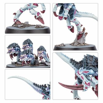 Warhammer 40,000 &ndash; Kill Team: Typhon &ndash; Expansion Set | Games Workshop