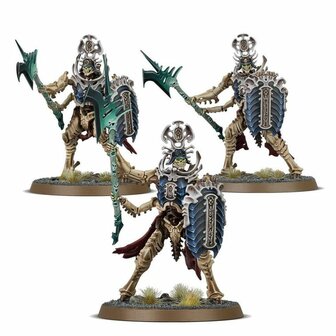 Warhammer Age of Sigmar: Spearhead: Ossiarch Bonereapers &ndash; Mortisan Elite