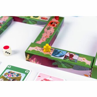 Pic Challenge &ndash; Kiwizou Kinderspel (5+) | Race naar de bergtop vol verrassingen