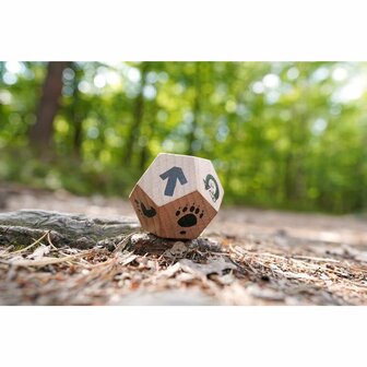 Surprise Yourself Dobbelsteen (4+) (DE/ENG) &ndash; Actiedobbelsteen &ndash; Terra Kids