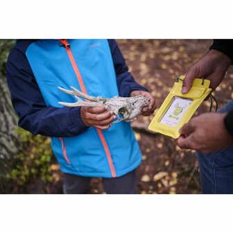 Seek And Find (4+) (DE/ENG) &ndash; zoek- en vind kaartenset &ndash; Terra Kids