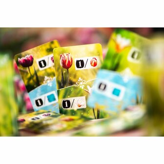 Frosted Blooms &ndash; tegellegspel  &ndash; Synapses Games