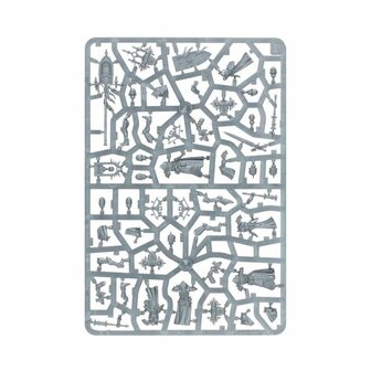 Warhammer 40,000 - Kill Team - Celestian Insidiants &ndash; Miniatuurset &ndash; Warhammer