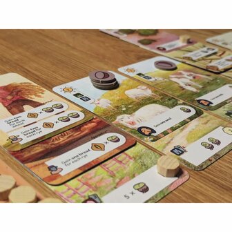 Countryside &ndash; Kaartspel &ndash; DLP Games