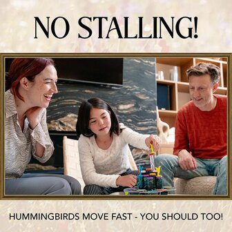Hummingbirds &ndash; Bordspel &ndash; USAopoly