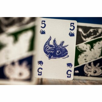Circadia &ndash; Kaartspel &ndash; Synapses Games