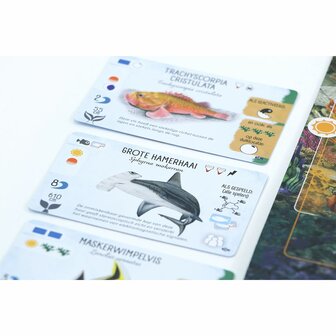 Finspan: Haaien en Riffen &ndash; Bordspeluitbreiding &ndash; 999 Games