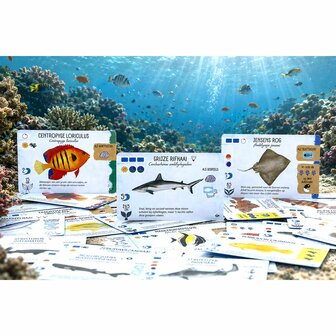 Finspan: Haaien en Riffen &ndash; Bordspeluitbreiding &ndash; 999 Games