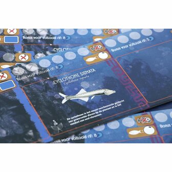 Finspan: Haaien en Riffen &ndash; Bordspeluitbreiding &ndash; 999 Games