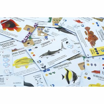 Finspan: Haaien en Riffen &ndash; Bordspeluitbreiding &ndash; 999 Games