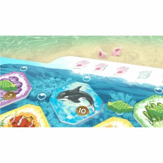 Shallow Sea &ndash; Puzzelbordspel &ndash; DSV Games