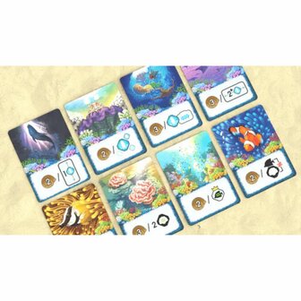 Shallow Sea &ndash; Puzzelbordspel &ndash; DSV Games