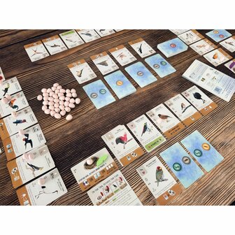 Wingspan Pocket &ndash; Bordspel &ndash; Stonemaier Games