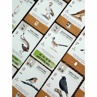 Wingspan Pocket &ndash; Bordspel &ndash; Stonemaier Games