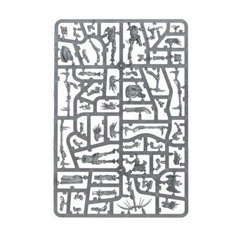 Warhammer 40,000 - T'au Empire Kroot Farstalkers &ndash; Miniatuurset &ndash; Games Workshop