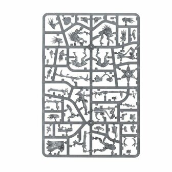 Warhammer 40,000 - T'au Empire Kroot Farstalkers &ndash; Miniatuurset &ndash; Games Workshop